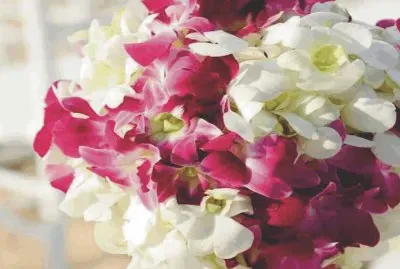 flowers jigsaw puzzle