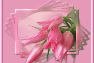 Bunt jigsaw puzzle