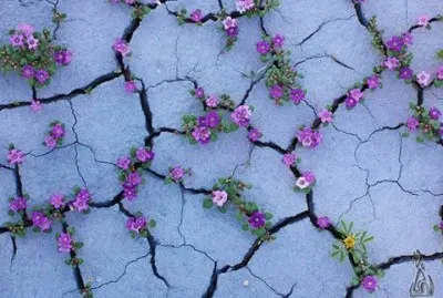 natureza