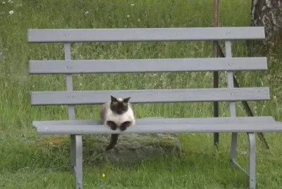 mia sur son banc