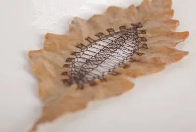 interessante jigsaw puzzle