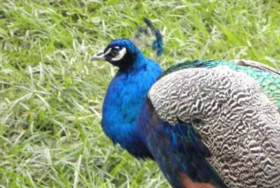 Juan José Zúniga Sánchez