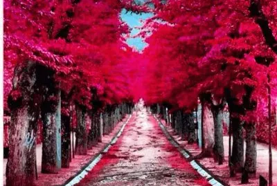 imagem jigsaw puzzle