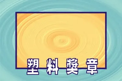 å¡‘æ–™çŽç«  jigsaw puzzle