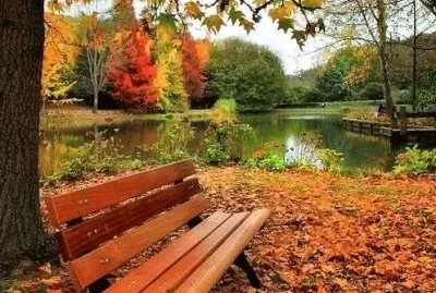 imagem jigsaw puzzle