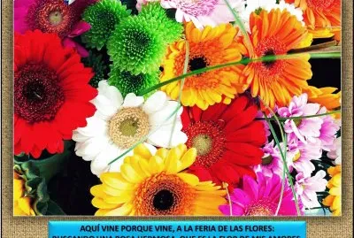 AQUÃ VINE PORQUE VINE