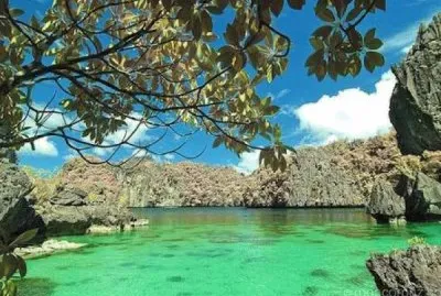 NATUREZA