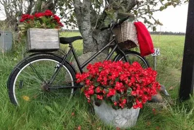 flores