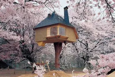 natureza