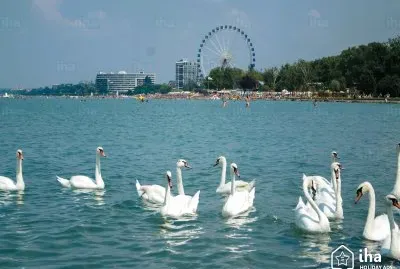 Danubio Meridional -Balaton.