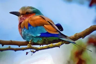 natureza jigsaw puzzle