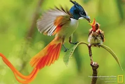 natureza