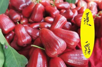 é£›å½ˆè“®éœ§ jigsaw puzzle