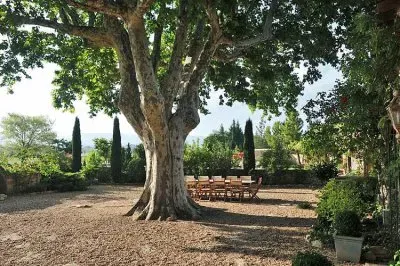 פאזל של natureza