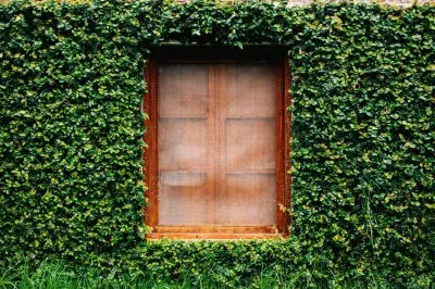 פאזל של natural