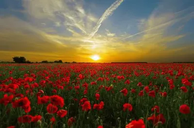 Sunset jigsaw puzzle