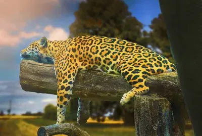 natureza