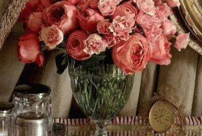 פאזל של flores