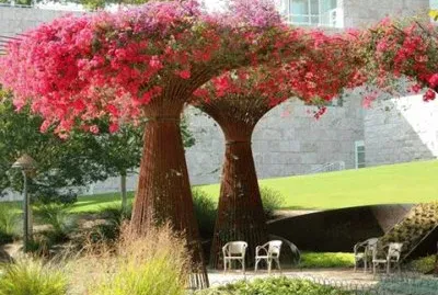 natureza
