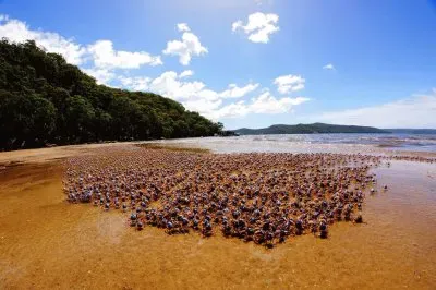 natural jigsaw puzzle