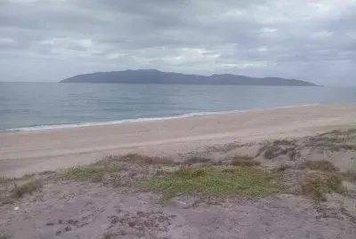 Isla Cerralvo BCS