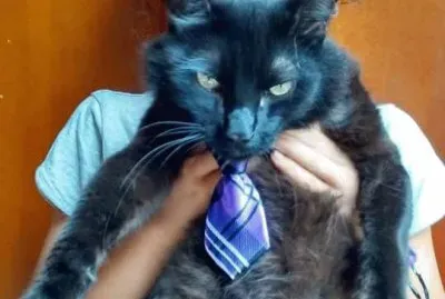 JACK