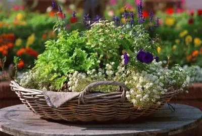 flores