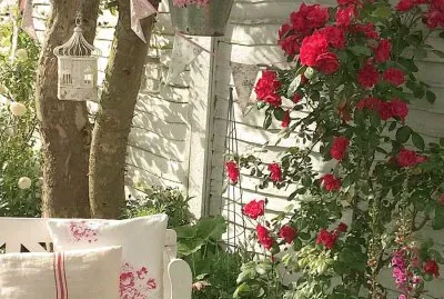 flores