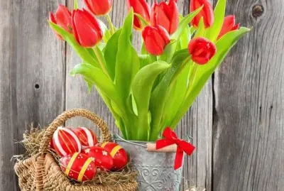 פאזל של flores