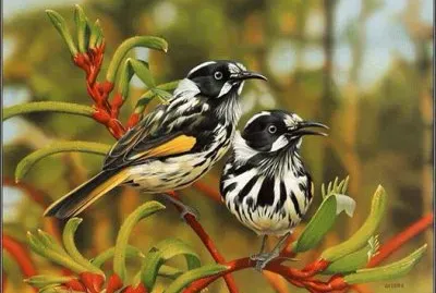 natural jigsaw puzzle