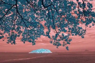 פאזל של natural