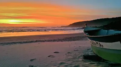 פאזל של natural