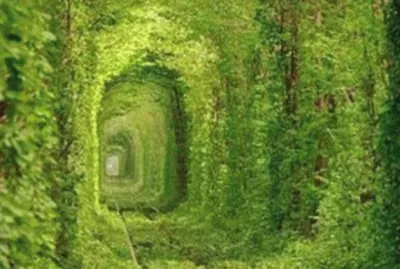 Tunnel of Love - Ukraine