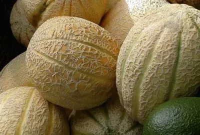 frutos