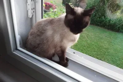 Mia