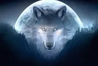 Husky   Moon