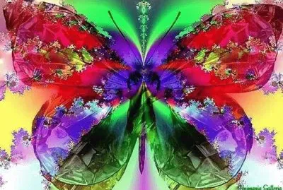 All Colors