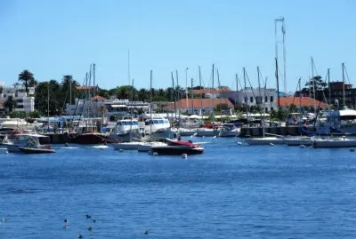 Yates en Punta del Este, Uruguay.