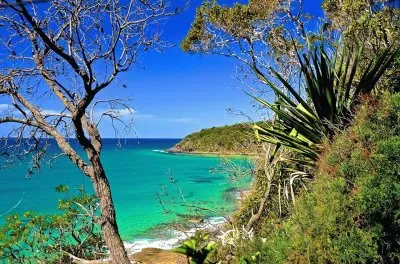natureza jigsaw puzzle