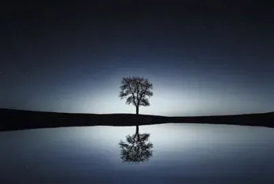 פאזל של natural