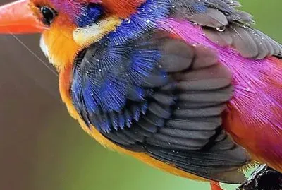 natural