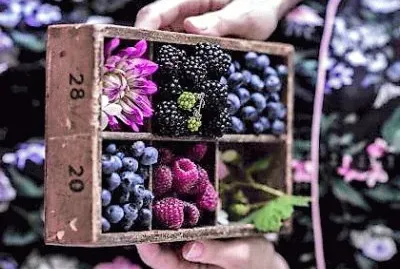 frutas