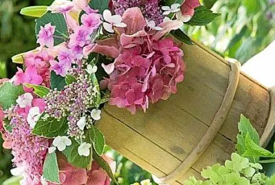 פאזל של flores