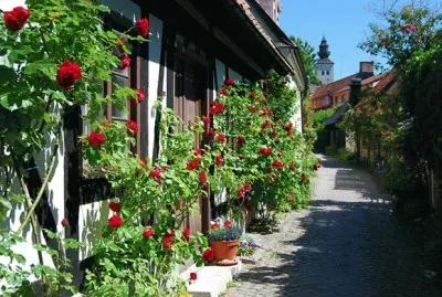 פאזל של Visby-Gotland(Suecia)