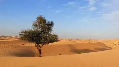 פאזל של Areias