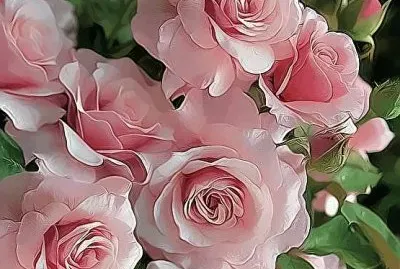 פאזל של flores