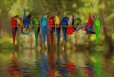 natureza