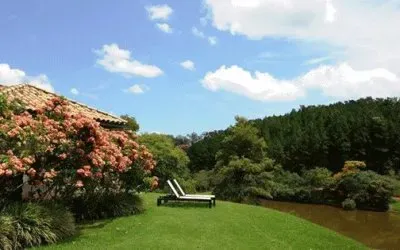 פאזל של natural