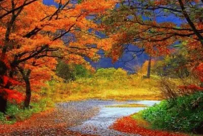 imagem jigsaw puzzle