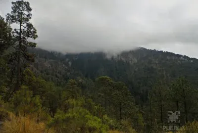 Biodiversidad del salon